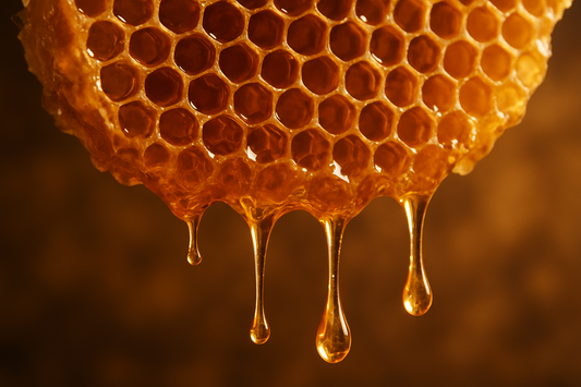 Magnesium Honey Balm - Benefits, Uses, and can I eat it?